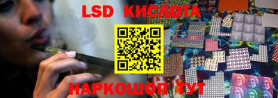 прущие грибы Краснодар