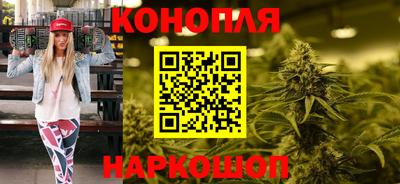 прущие грибы Краснодар