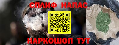 прущие грибы Краснодар