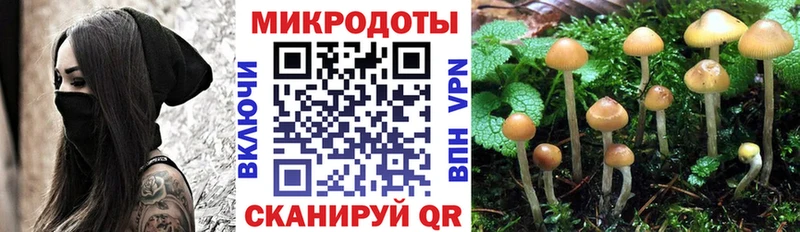 Галлюциногенные грибы мицелий  Касимов 